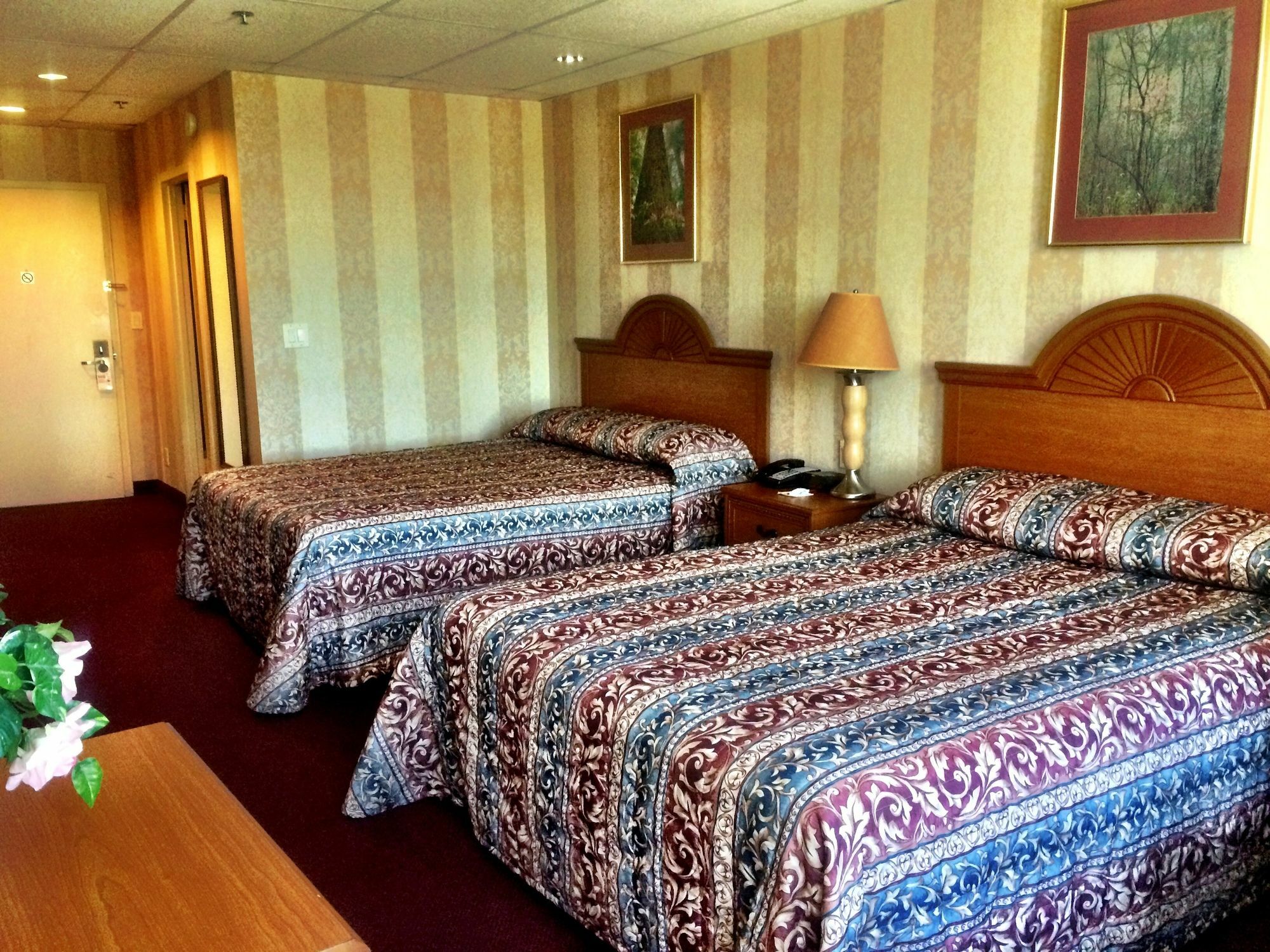 Amsterdam Hotel Stamford Extérieur photo